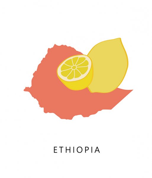 衣索比亞 吉瑪莉姆 寶貝藝伎 日曬 淺焙