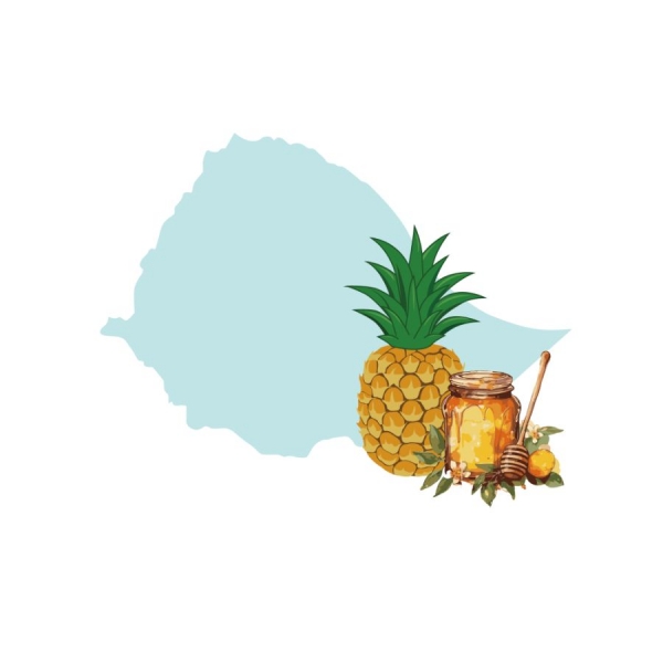 衣索比亞 罕貝拉布榖阿貝兒芭絲特藝伎 日曬 淺焙 