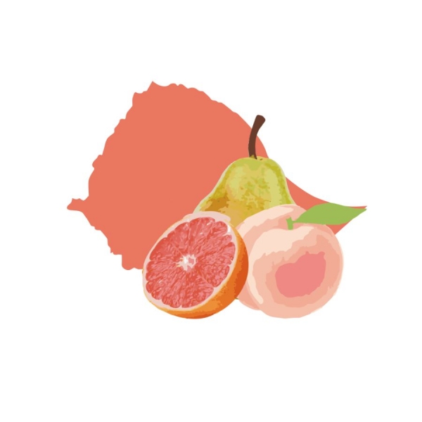 衣索比亞 果丁丁天使處理站藝伎水洗 淺焙