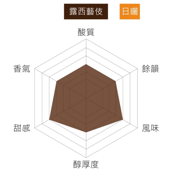 衣索比亞 班奇馬吉 露西藝伎 日曬 淺焙