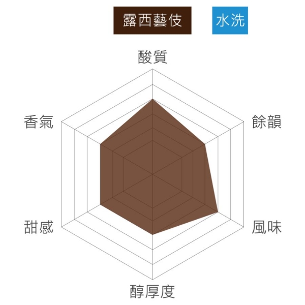 衣索比亞 班奇馬吉 露西藝伎 水洗 淺焙