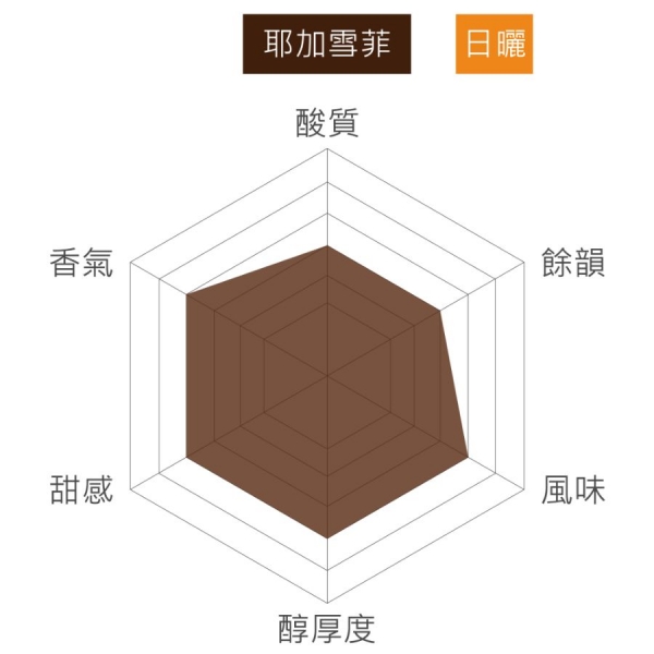 衣索比亞 耶加雪菲G1 日曬 淺焙