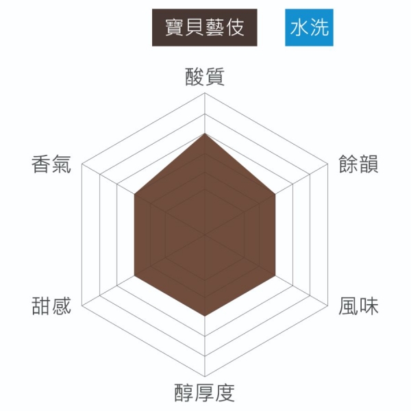 衣索比亞 吉瑪莉姆 寶貝藝伎 水洗 淺焙 