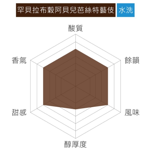 衣索比亞 罕貝拉布榖阿貝兒芭絲特藝伎 水洗 淺焙 