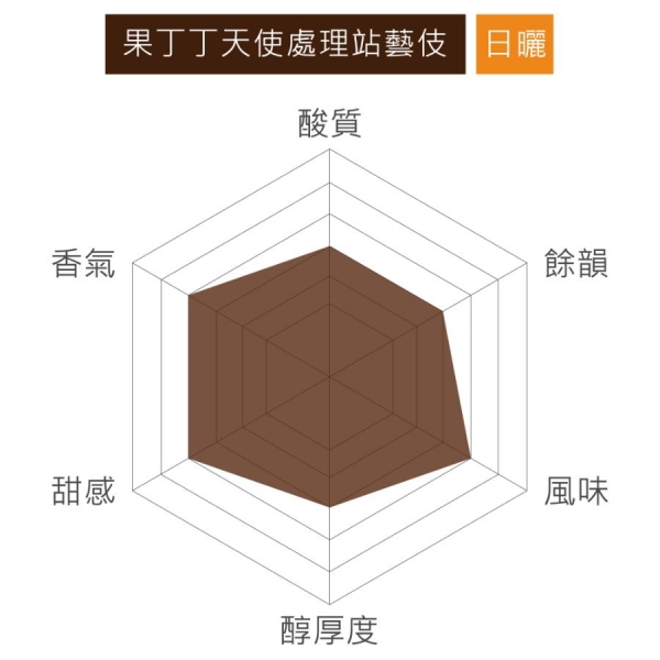 衣索比亞 果丁丁天使處理站藝伎 日曬 淺焙