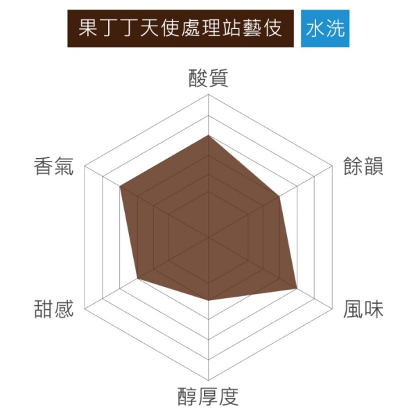 衣索比亞 果丁丁天使處理站藝伎水洗 淺焙