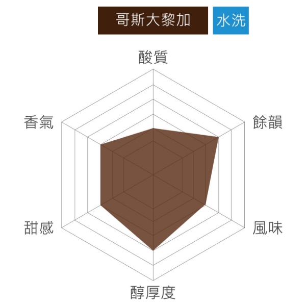 哥斯大黎加 Tarrazú 水洗