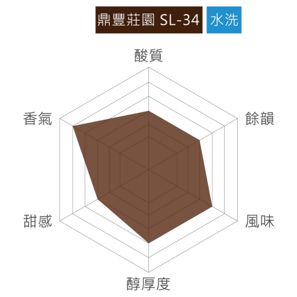 台灣嘉義阿里山 鼎豐莊園 SL-34 水洗 淺焙