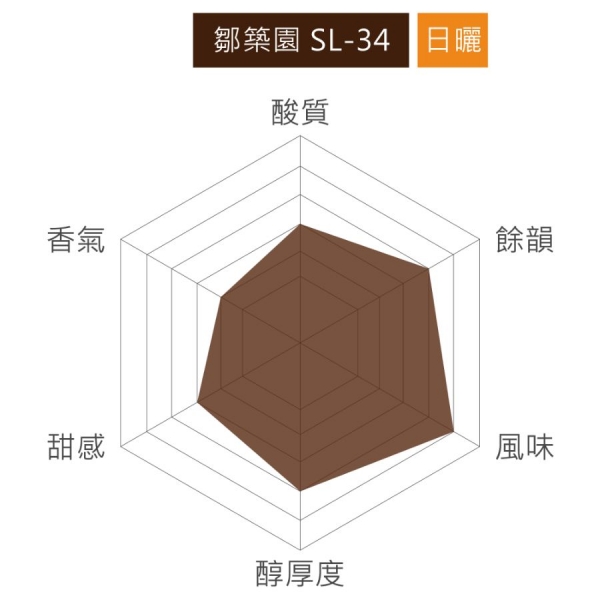 台灣嘉義阿里山 鄒築園 日曬 SL-34 淺焙