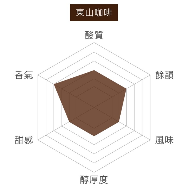 台灣 阿里山 東山咖啡 淺焙 水洗 