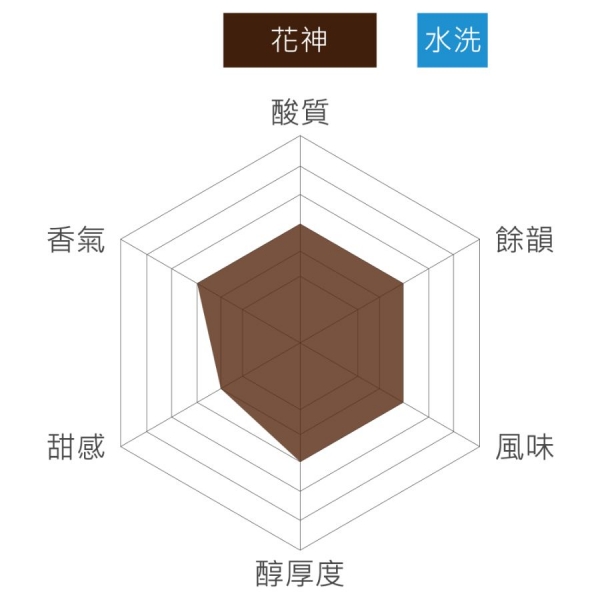 瓜地馬拉 La Minita 花神 水洗