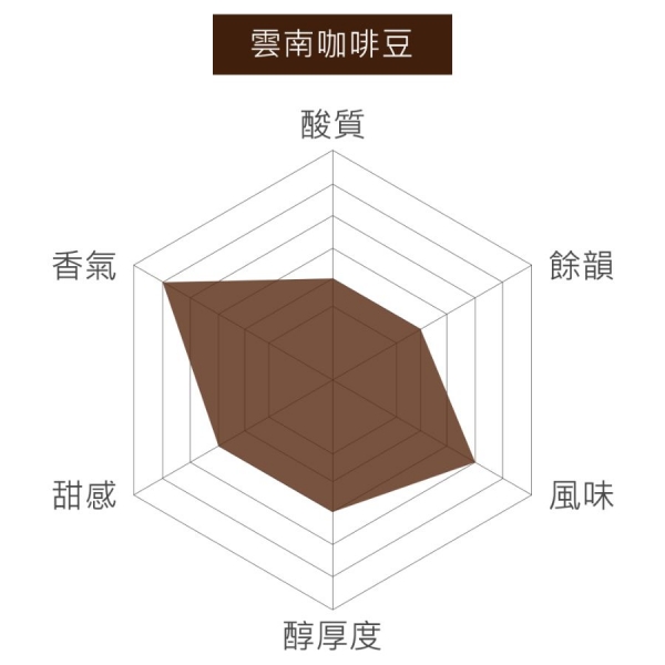 雲南 孟連 銀輝咖啡莊園 厭氧蜜處理 淺中焙