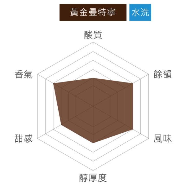 印尼 蘇門答臘 黃金曼特寧 傳統半水洗