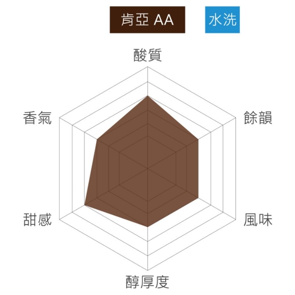 肯亞 AA 水洗 淺中焙