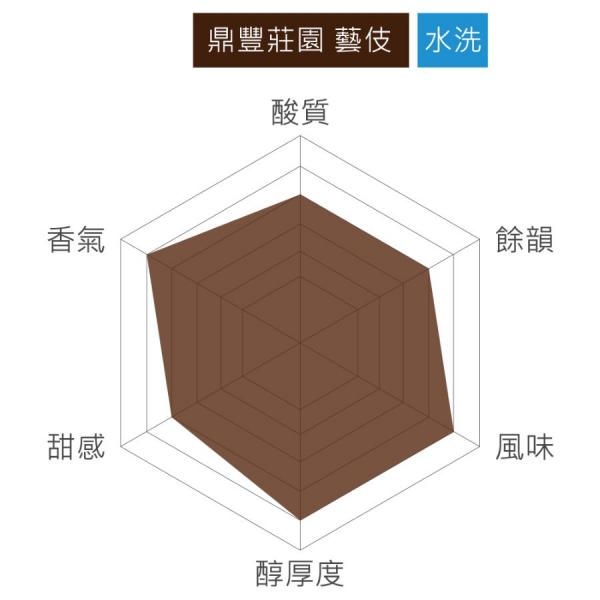 阿里山 鼎豐咖啡莊園  藝伎 水洗 淺焙 