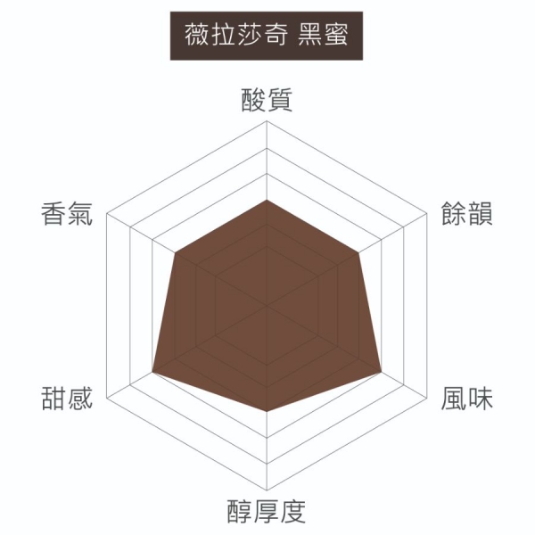 哥斯大黎加 Tobosi 薇拉莎奇 黑蜜 淺焙