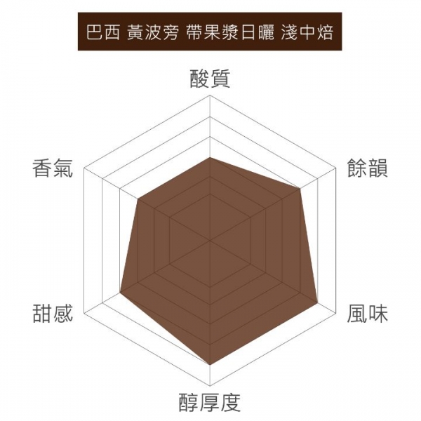 巴西 黃波旁 帶果漿日曬 淺中焙