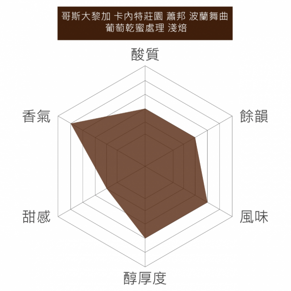 哥斯大黎加 卡內特莊園 音樂家系列 蕭邦 波蘭舞曲 葡萄乾蜜處理 淺焙