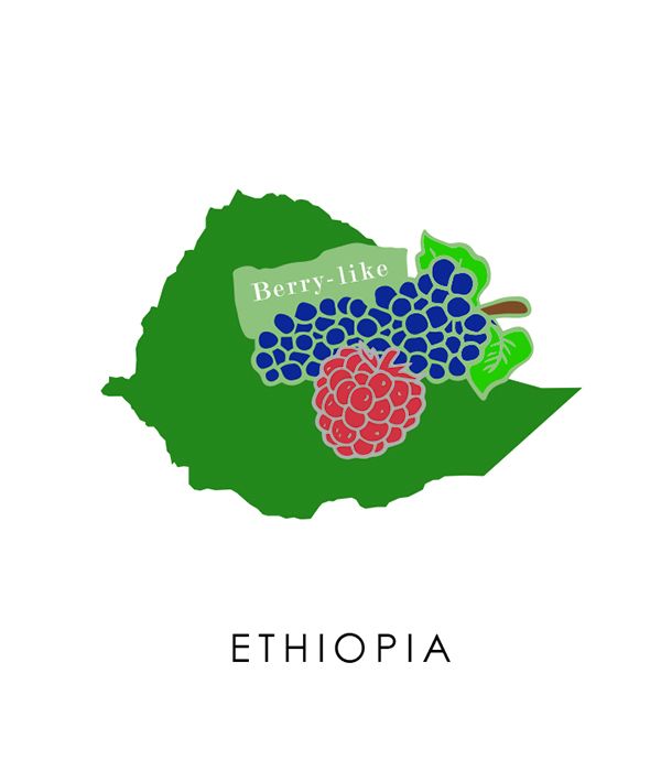 衣索比亞 耶加雪菲G1 日曬