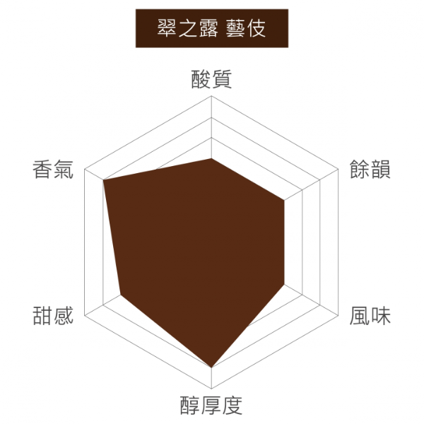 衣索比亞 翠之露 藝伎 / 淺焙 
