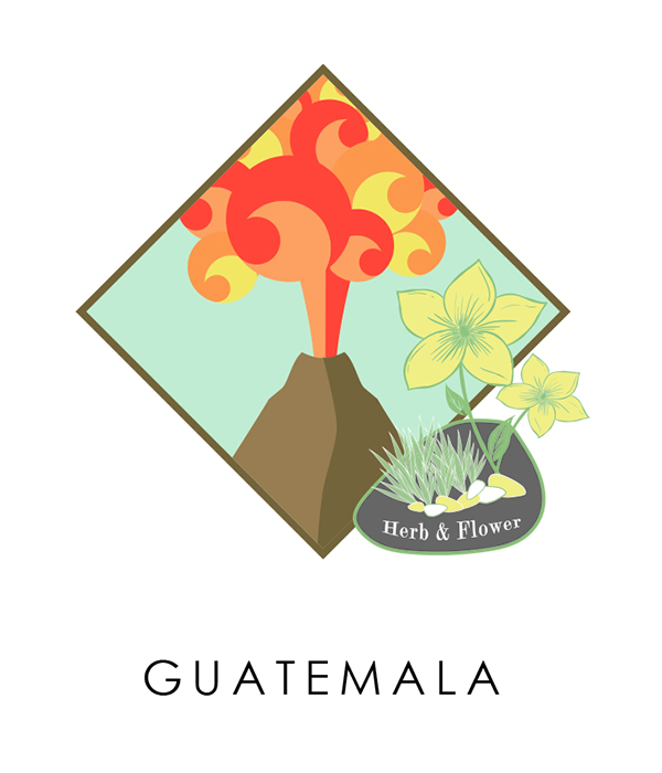 瓜地馬拉 拉米尼塔 花神 水洗
